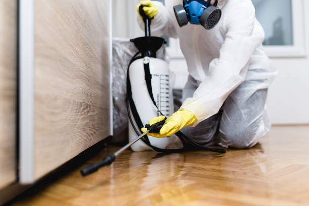 Best Affordable Pest Control Services  in East Palo Alto, CA