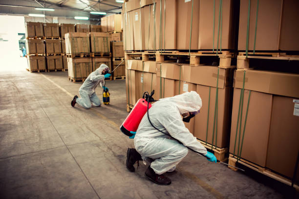 Best Bed Bug Extermination  in East Palo Alto, CA