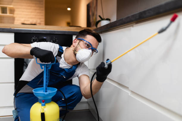 Best Pest Removal Services  in East Palo Alto, CA