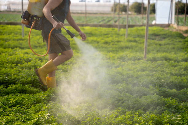 Best Mosquito Control Services  in East Palo Alto, CA