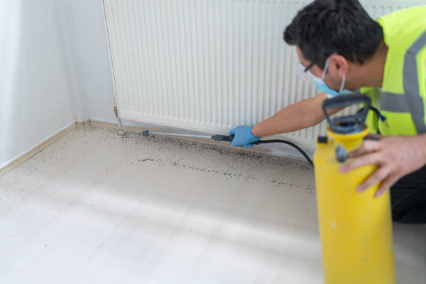 Best Bed Bug Extermination  in East Palo Alto, CA