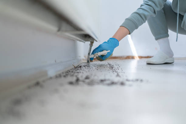  East Palo Alto, CA Pest Control Pros